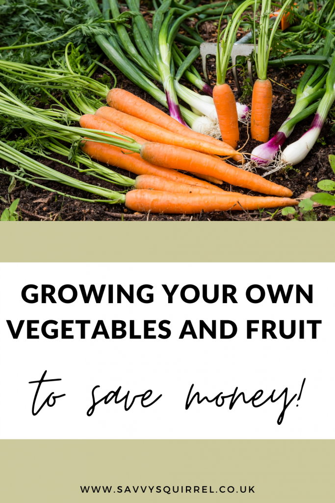 Growing your own vegetables and fruit to save money