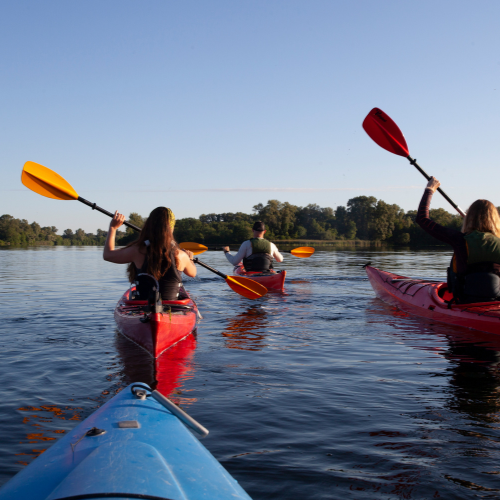 The Ultimate Kids Kayaking Trips Guide